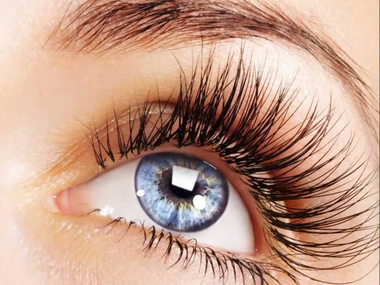 Ejlashes: The Ultimate Choice for Luxurious Lashes