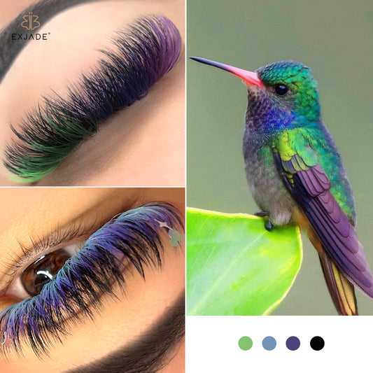 How to Choose the Right Type of Colored Lash Extension