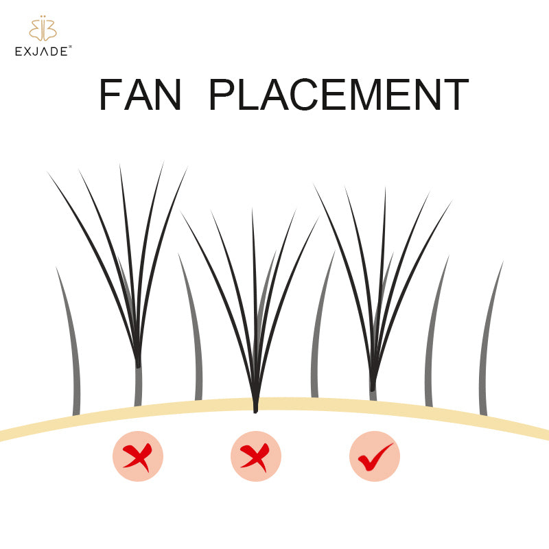 Lash tips ------PLACEMENT