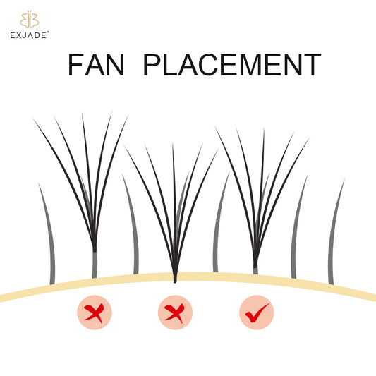 Lash tips ------PLACEMENT