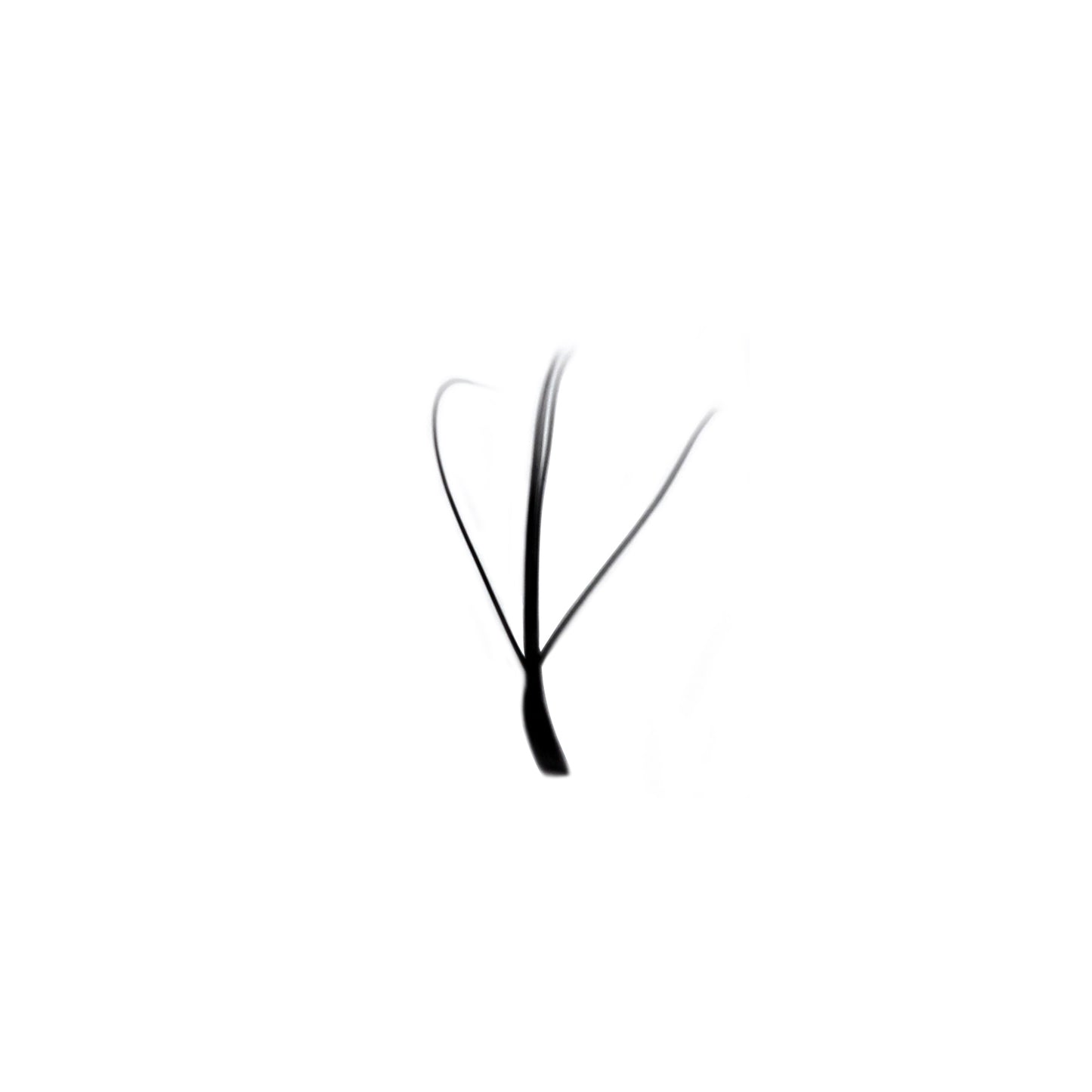 3D Fairy Lashes