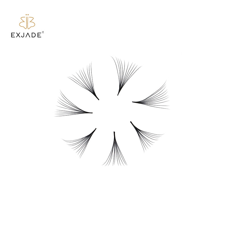 10D  premade loose fans  (500 Fans)