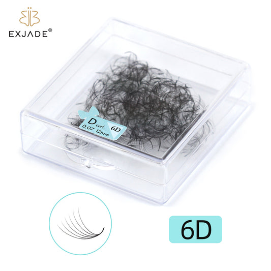 6D  premade loose fans  (500 Fans) 6D  premade loose fans  (500 Fans)