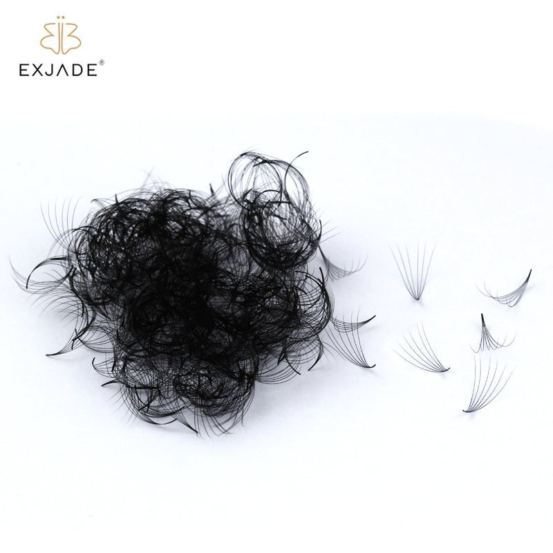 6D  premade loose fans  (500 Fans)