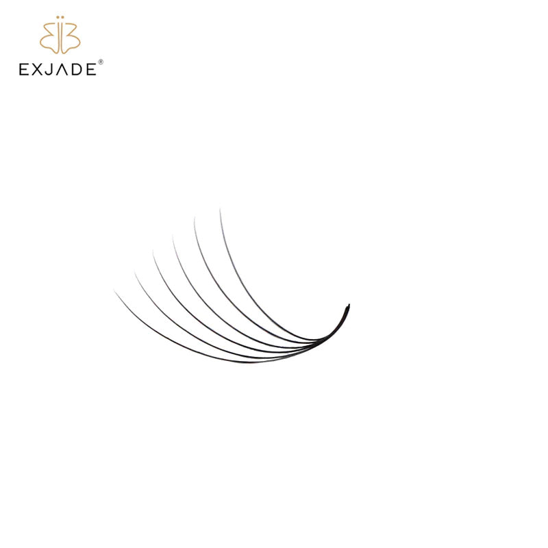 6D  premade loose fans  (500 Fans)