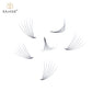 6D  premade loose fans  (500 Fans)