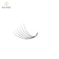 6D  premade loose fans  (500 Fans)