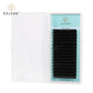 0.20mm Ellipse flat lashes (16 rows)