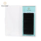 0.15mm Ellipse flat lashes (16 rows)