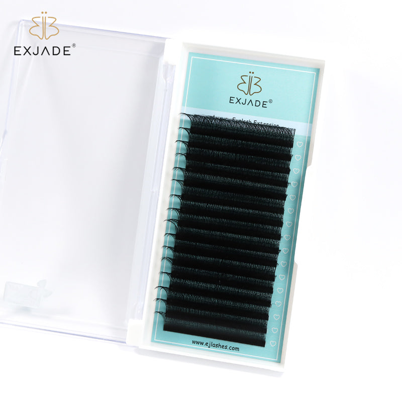 YY Lashes Extensions (16 rows)